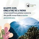 gold-sea-moss-superfood-bundle-organic-s-4.jpg
