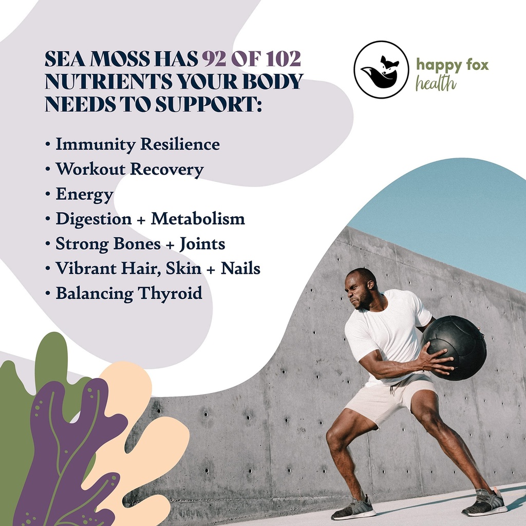 essentials-purple-sea-moss-bundle-organi-4.jpg