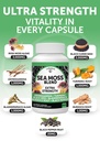 lunakai-usa-made-irish-sea-moss-capsules-3.jpg