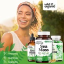 wild-organic-sea-moss-capsules-overall-s-4.jpg