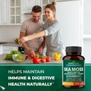 sandhu-herbals-seamoss-turmeric-curcumin-4.jpg