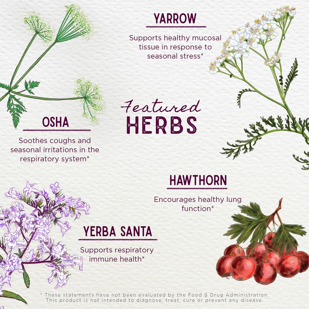 wishgarden-herbs-deep-lung-bronchial-sup-4.jpg