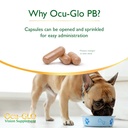 ocu-glo-pb-vision-supplement-for-medium--5.jpg