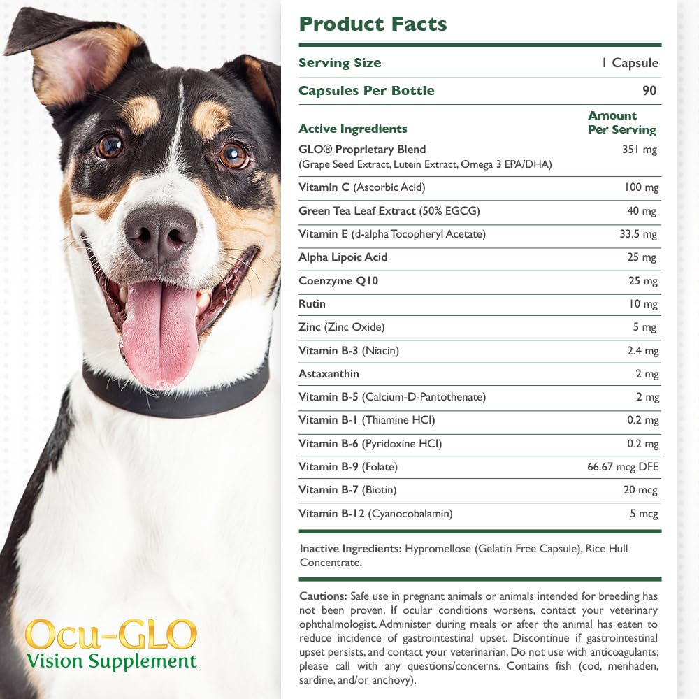 ocu-glo-pb-vision-supplement-for-medium--2.jpg