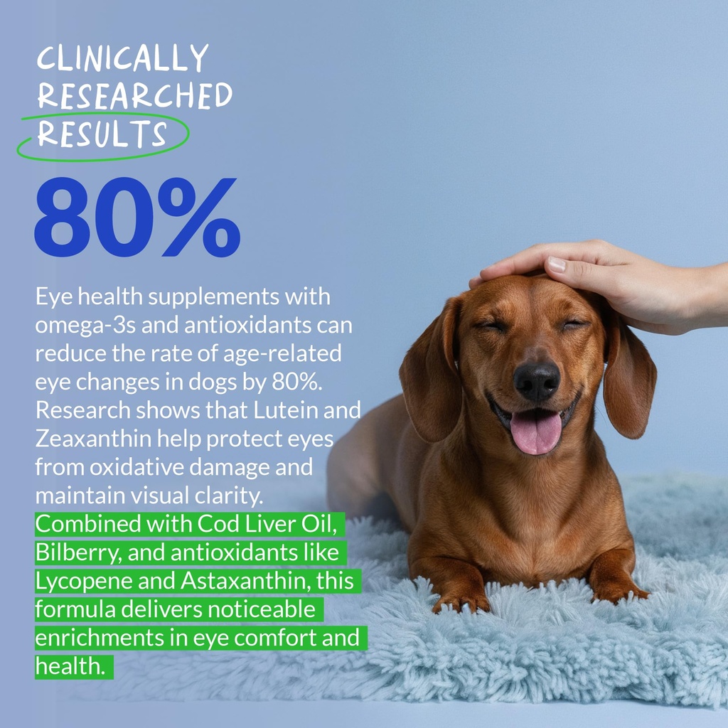 eye-support-for-dogs-90-soft-chews-dog-s-4.jpg