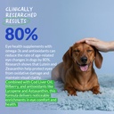 eye-support-for-dogs-90-soft-chews-dog-s-4.jpg