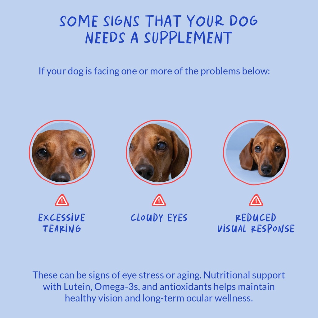 eye-support-for-dogs-90-soft-chews-dog-s-5.jpg