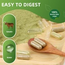 size-00-gelatin-empty-capsules-100-count-4.jpg