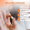 empty-gelatin-capsules-size-3-100-count--4.jpg