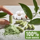 empty-vegan-capsules-size-3-clear-small--5.jpg