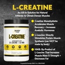 l-creatine-supplement-creatine-monohydra-3.jpg