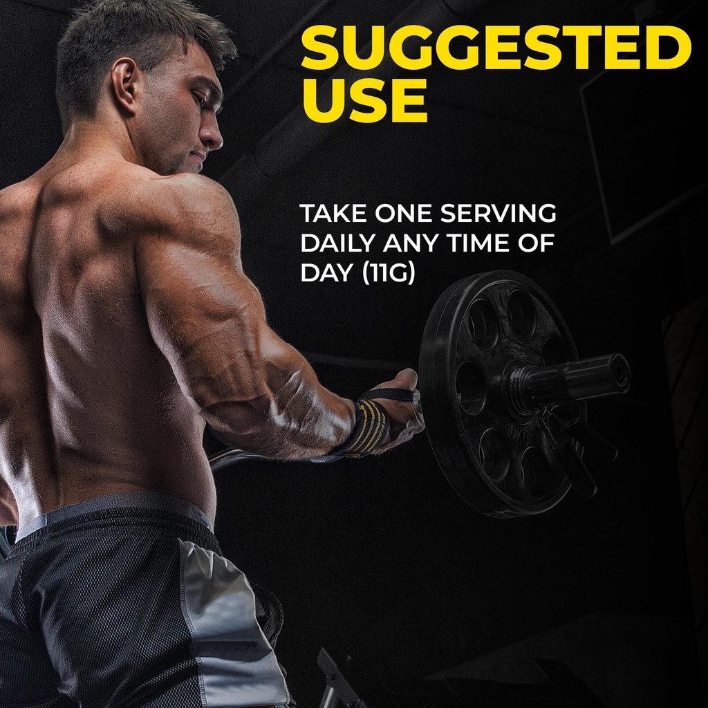 l-creatine-supplement-creatine-monohydra-6.jpg