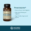 nature-s-sunshine-proactazyme-100-capsul-3.jpg