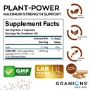 granions-ksm66-ashwagandha-supplements-1-5.jpg