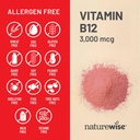 naturewise-vitamin-b12-3000-mcg-extra-st-5.jpg