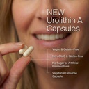 urolithin-a-1000mg-supplement-99-9-high--4.jpg