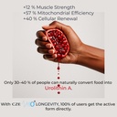 urolithin-a-1000-mg-60-vegan-capsules-99-3.jpg