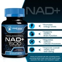 wellness-labsrx-liposomal-nad-supplement-5.jpg
