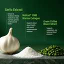 bell-healthy-blood-pressure-support-uniq-4.jpg