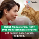 pataday-twice-daily-relief-5ml-pack-of-1-5.jpg
