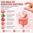 digestive-enzymes-multi-enzymes-organic--2.jpg