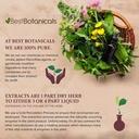 best-botanicals-pau-d-arco-bark-cut-16-o-2.jpg