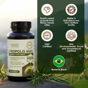 brazilian-green-propolis-extract-1000mg--4.jpg