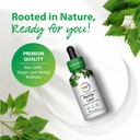 rainbow-light-nettle-leaf-liquid-extract-3.jpg