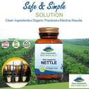 pure-mountain-botanicals-stinging-nettle-3.jpg