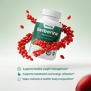 berberine-supplement-800mg-60-capsules-b-2.jpg