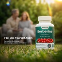 berberine-supplement-800mg-60-capsules-b-3.jpg