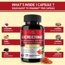 vpkin-berberine-supplement-19-060mg-berb-2.jpg