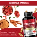 vpkin-berberine-supplement-19-060mg-berb-3.jpg