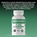 myoxcience-pure-berberine-himaberb-500-m-6.jpg