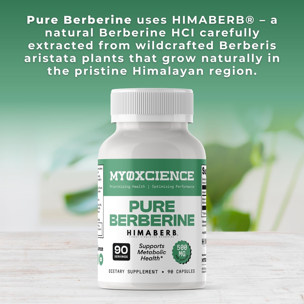 myoxcience-pure-berberine-himaberb-500-m-3.jpg