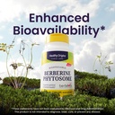 healthy-origins-berberine-phytosome-550--4.jpg