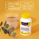 healthy-origins-berberine-phytosome-550--5.jpg