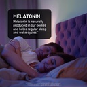 naturewise-melatonin-5mg-sugar-free-fast-3.jpg