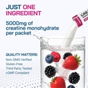 creatine-monohydrate-powder-creapure-ger-4.jpg