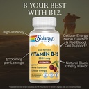 solaray-high-potency-vitamin-b12-lozenge-3.jpg