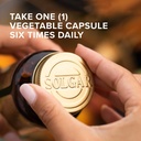 solgar-l-arginine-500-mg-100-vegetable-c-3.jpg