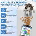 200-pcs-probiotics-for-dogs---dog-probio-2.jpg