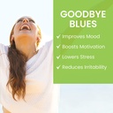 himalaya-hello-joy-with-ashwagandha-for--3.jpg