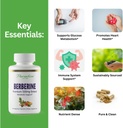 paradise-herbs-berberine-extract-500-mg--2.jpg
