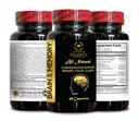 mind-matrix-brain-function-formula-premi-2.jpg