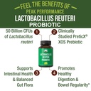 lactobacillus-reuteri-50-billion-cfu-pro-2.jpg
