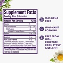 zzzquil-pure-zzzs-advanced-melatonin-gum-6.jpg