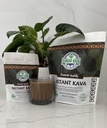 singhs-micronized-instant-kava-powder-fi-6.jpg