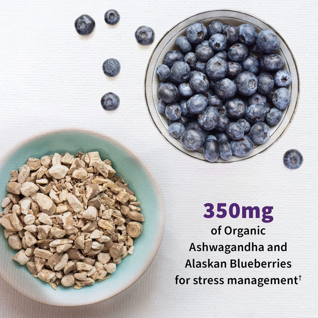 garden-of-life-dr-formulated-probiotics--5.jpg