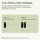 seed-ds-01-daily-synbiotic-am-02-energy--4.jpg